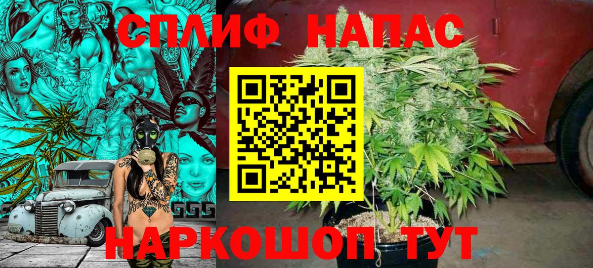 Канабис гибрид Видное
